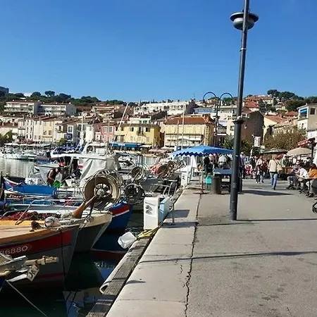 Nidcassiden * Cassis
